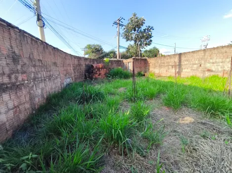 Comprar Terreno / Padr&atilde;o em Bady Bassitt R$ 100.000,00 - Foto 2