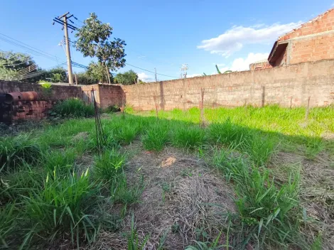 Comprar Terreno / Padr&atilde;o em Bady Bassitt R$ 100.000,00 - Foto 5