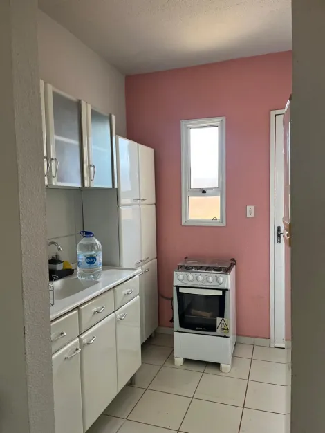 Alugar Casa / Padr&atilde;o em S&atilde;o Jos&eacute; do Rio Preto R$ 1.300,00 - Foto 3