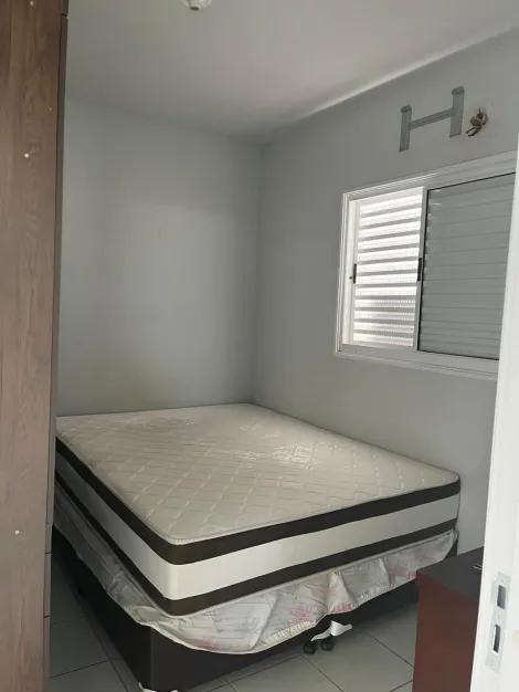 Alugar Casa / Padr&atilde;o em S&atilde;o Jos&eacute; do Rio Preto R$ 1.300,00 - Foto 5