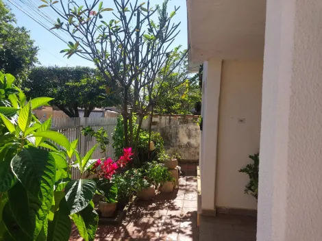 Alugar Casa / Padr&atilde;o em S&atilde;o Jos&eacute; do Rio Preto. apenas R$ 395.000,00