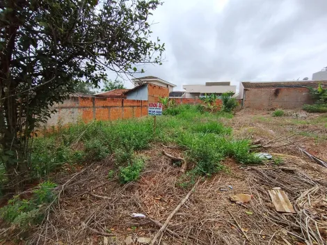 Comprar Terreno / Padr&atilde;o em Bady Bassitt R$ 90.000,00 - Foto 5
