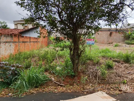 Comprar Terreno / Padr&atilde;o em Bady Bassitt R$ 90.000,00 - Foto 6
