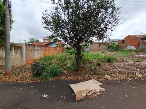 Comprar Terreno / Padr&atilde;o em Bady Bassitt R$ 90.000,00 - Foto 7