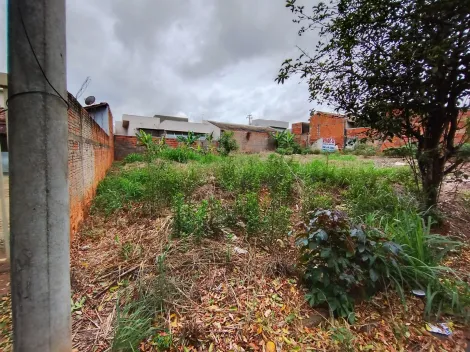 Comprar Terreno / Padr&atilde;o em Bady Bassitt R$ 90.000,00 - Foto 9