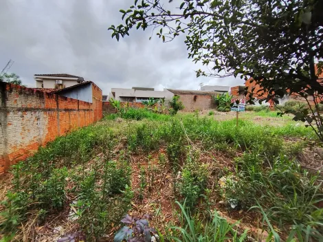 Comprar Terreno / Padr&atilde;o em Bady Bassitt R$ 90.000,00 - Foto 10