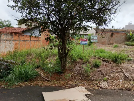 Comprar Terreno / Padr&atilde;o em Bady Bassitt R$ 90.000,00 - Foto 14