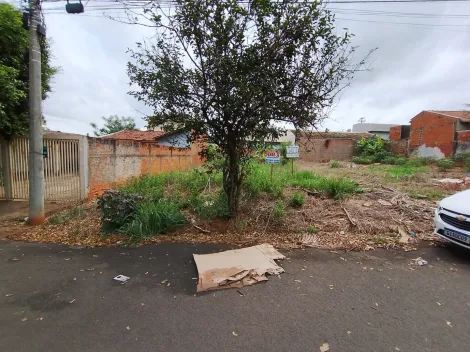 Comprar Terreno / Padr&atilde;o em Bady Bassitt R$ 90.000,00 - Foto 15