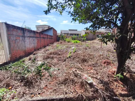Bady Bassitt Residencial Menezes Terreno Venda R$90.000,00  Area do terreno 210.00m2 
