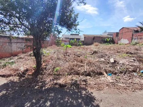 Comprar Terreno / Padr&atilde;o em Bady Bassitt R$ 90.000,00 - Foto 2
