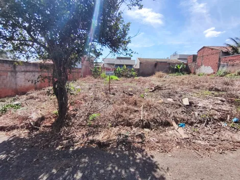 Comprar Terreno / Padr&atilde;o em Bady Bassitt R$ 90.000,00 - Foto 3
