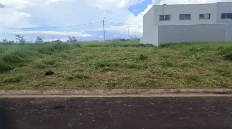 Comprar Terreno / Padr&atilde;o em S&atilde;o Jos&eacute; do Rio Preto R$ 180.000,00 - Foto 2