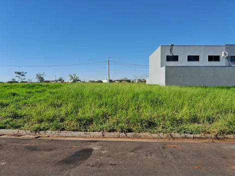 Comprar Terreno / Padr&atilde;o em S&atilde;o Jos&eacute; do Rio Preto R$ 180.000,00 - Foto 9
