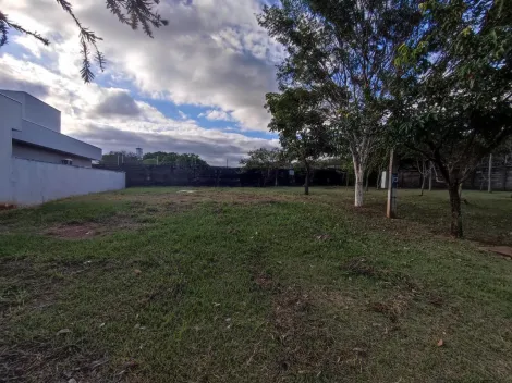 Alugar Terreno / Condom&iacute;nio em S&atilde;o Jos&eacute; do Rio Preto. apenas R$ 230.000,00
