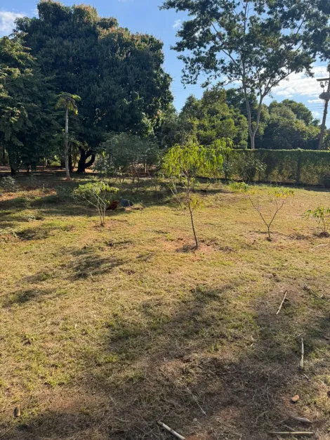 Comprar Rural / Ch&aacute;cara em S&atilde;o Jos&eacute; do Rio Preto R$ 1.500.000,00 - Foto 12