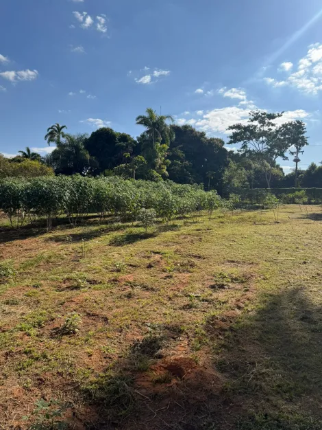 Comprar Rural / Ch&aacute;cara em S&atilde;o Jos&eacute; do Rio Preto R$ 1.500.000,00 - Foto 13