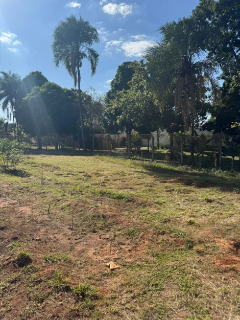 Comprar Rural / Ch&aacute;cara em S&atilde;o Jos&eacute; do Rio Preto R$ 1.500.000,00 - Foto 14