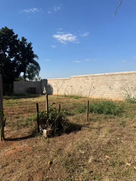 Comprar Rural / Ch&aacute;cara em S&atilde;o Jos&eacute; do Rio Preto R$ 1.500.000,00 - Foto 16