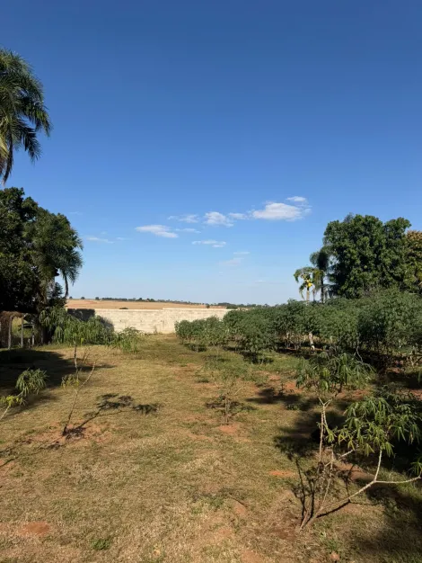 Comprar Rural / Ch&aacute;cara em S&atilde;o Jos&eacute; do Rio Preto R$ 1.500.000,00 - Foto 10