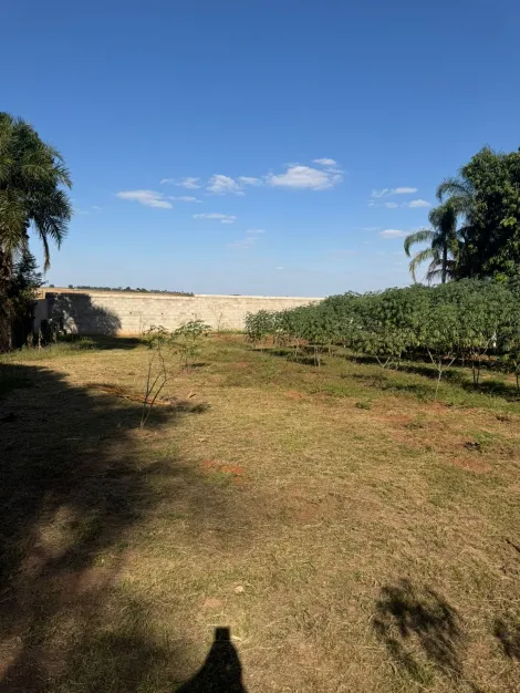 Comprar Rural / Ch&aacute;cara em S&atilde;o Jos&eacute; do Rio Preto R$ 1.500.000,00 - Foto 7