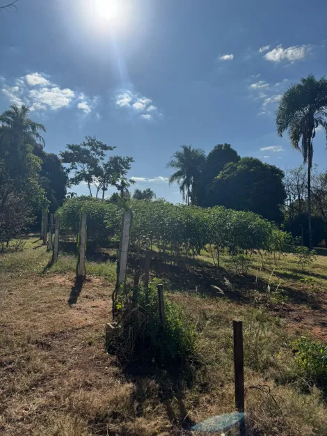 Comprar Rural / Ch&aacute;cara em S&atilde;o Jos&eacute; do Rio Preto R$ 1.500.000,00 - Foto 15