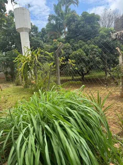 Comprar Rural / Ch&aacute;cara em S&atilde;o Jos&eacute; do Rio Preto R$ 1.500.000,00 - Foto 22