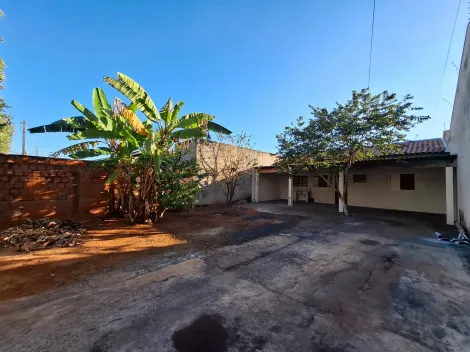 Alugar Casa / Padr&atilde;o em S&atilde;o Jos&eacute; do Rio Preto R$ 1.100,00 - Foto 9
