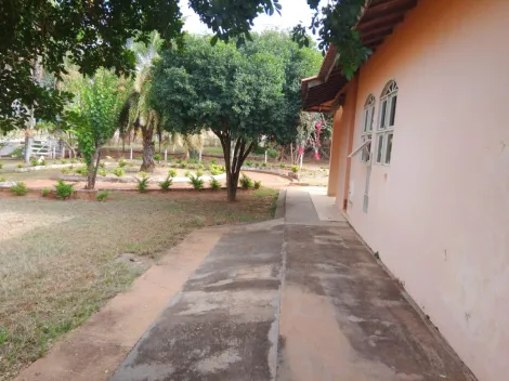 Comprar Rural / Ch&aacute;cara em Zacarias R$ 1.100.000,00 - Foto 7