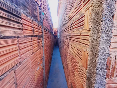 Alugar Casa / Padr&atilde;o em S&atilde;o Jos&eacute; do Rio Preto R$ 1.000,00 - Foto 17