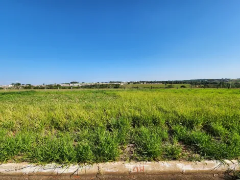 Terreno / Padr&atilde;o em Cedral , Comprar por R$75.000,00