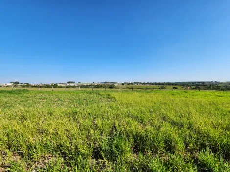 Comprar Terreno / Padr&atilde;o em Cedral R$ 75.000,00 - Foto 2