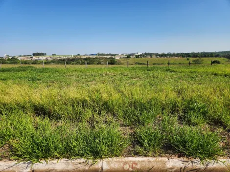 Alugar Terreno / Padr&atilde;o em Cedral. apenas R$ 75.000,00