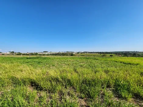 Comprar Terreno / Padr&atilde;o em Cedral R$ 75.000,00 - Foto 2