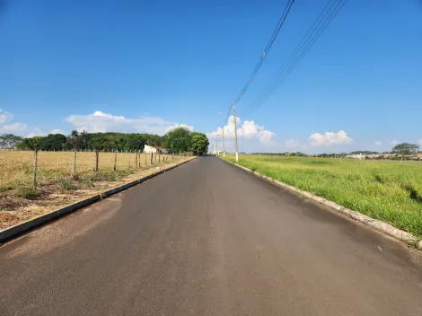 Comprar Terreno / Padr&atilde;o em Cedral R$ 75.000,00 - Foto 3