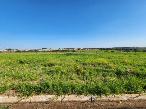 Terreno / Padr&atilde;o em Cedral , Comprar por R$75.000,00