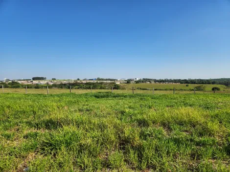 Comprar Terreno / Padr&atilde;o em Cedral R$ 75.000,00 - Foto 2