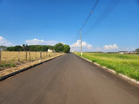 Comprar Terreno / Padr&atilde;o em Cedral R$ 75.000,00 - Foto 3