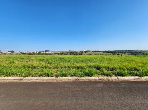 Terreno / Padr&atilde;o em Cedral , Comprar por R$75.000,00