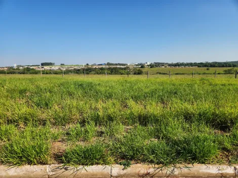 Comprar Terreno / Padr&atilde;o em Cedral R$ 75.000,00 - Foto 2