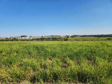 Comprar Terreno / Padr&atilde;o em Cedral R$ 75.000,00 - Foto 3