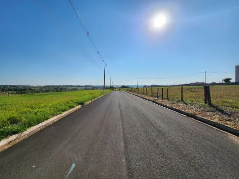 Comprar Terreno / Padr&atilde;o em Cedral R$ 75.000,00 - Foto 4