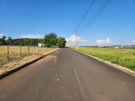 Comprar Terreno / Padr&atilde;o em Cedral R$ 75.000,00 - Foto 5