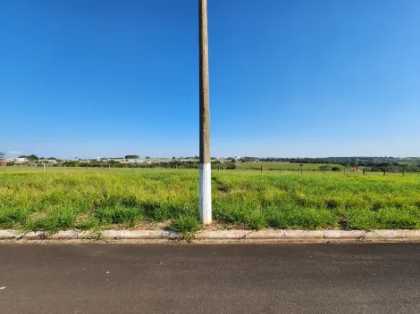 Alugar Terreno / Padr&atilde;o em Cedral. apenas R$ 75.000,00
