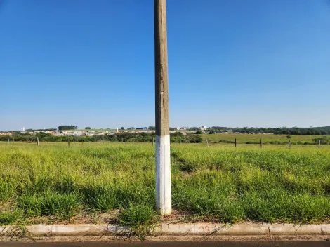 Comprar Terreno / Padr&atilde;o em Cedral R$ 75.000,00 - Foto 2