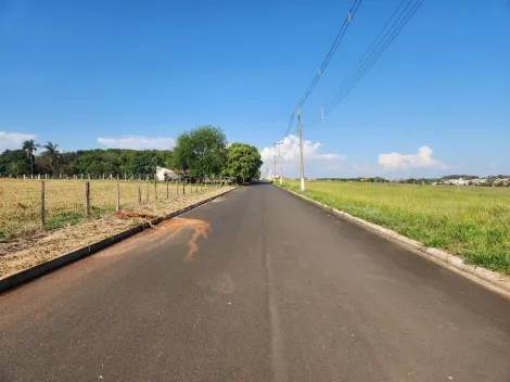Comprar Terreno / Padr&atilde;o em Cedral R$ 75.000,00 - Foto 3