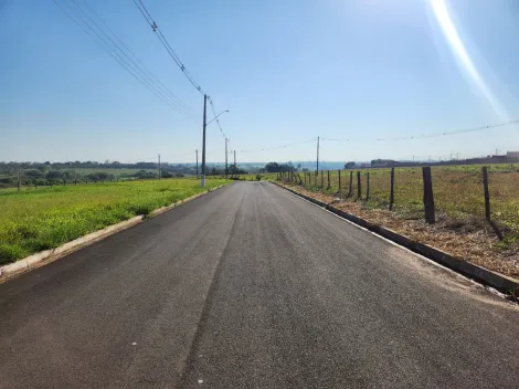 Comprar Terreno / Padr&atilde;o em Cedral R$ 75.000,00 - Foto 4