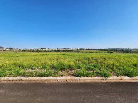 Alugar Terreno / Padr&atilde;o em Cedral. apenas R$ 75.000,00