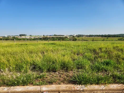 Comprar Terreno / Padr&atilde;o em Cedral R$ 75.000,00 - Foto 2