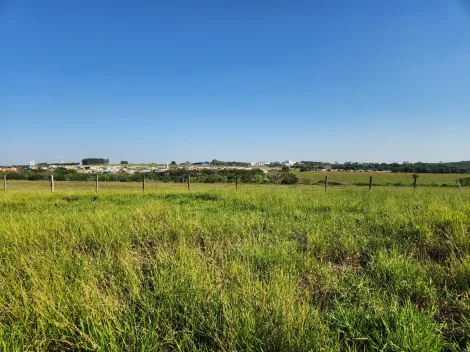Comprar Terreno / Padr&atilde;o em Cedral R$ 75.000,00 - Foto 3