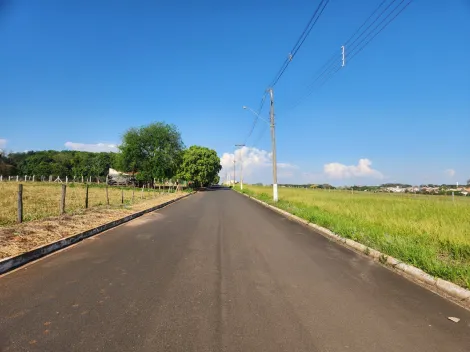 Comprar Terreno / Padr&atilde;o em Cedral R$ 75.000,00 - Foto 4